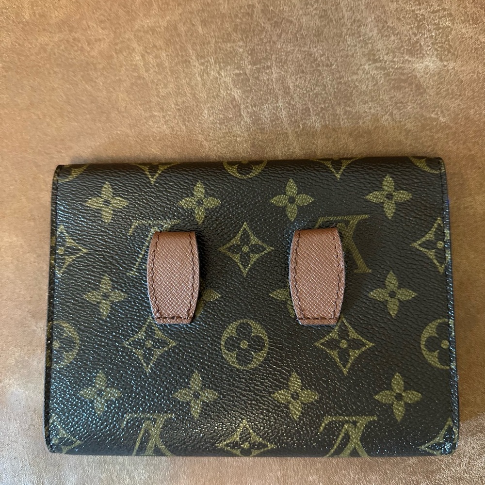 LOUIS VUITTON Monogram Pochette Ceinture Arche - Picture 2 of 8